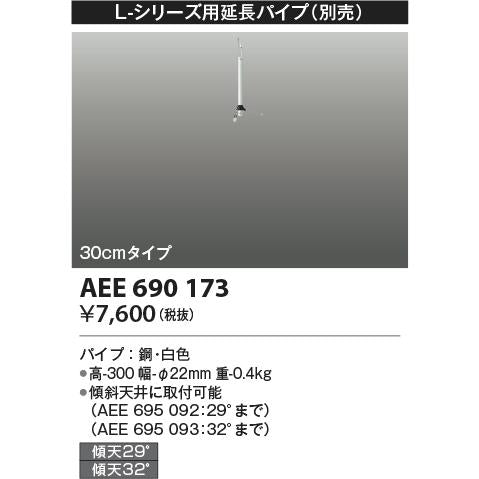 AEE690173